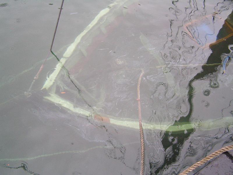 PICT0025.JPG
