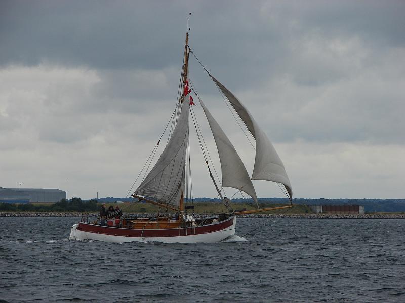 DSC02664.JPG