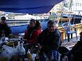 DSC02241