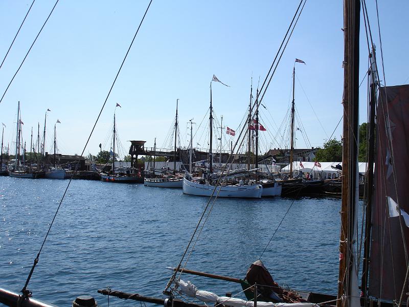 DSC04195.JPG