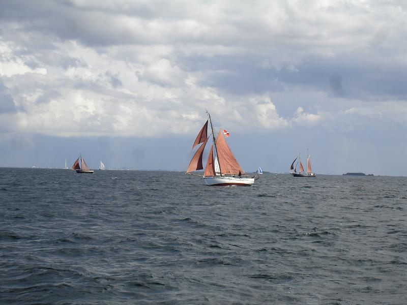 DSC05635.JPG