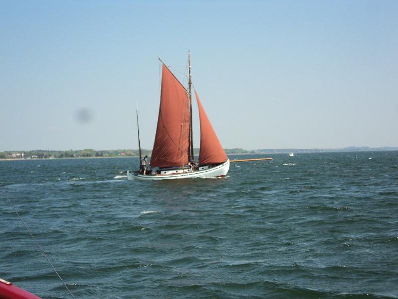 DSC01229.JPG