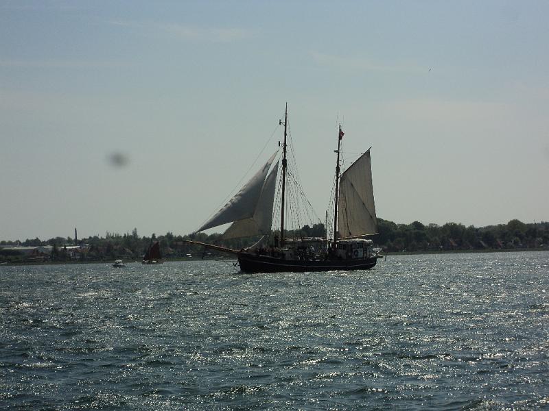 DSC01231.JPG
