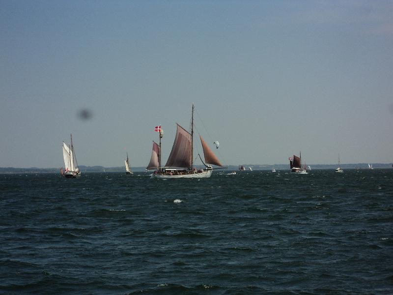 DSC01242.JPG