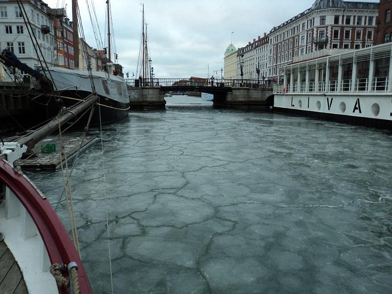DSC01686.JPG