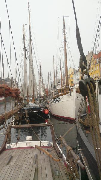 P1030817.JPG