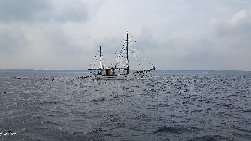 20170818_135640.jpg